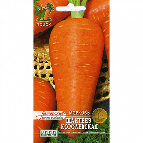 Морковь Шантенэ Королевская фото Морковь Шантенэ Королевская 